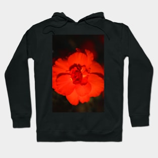 Glowing Bloom Hoodie